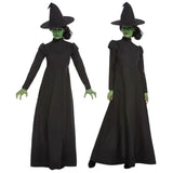 Wicked Witch Costume