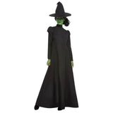 Wicked Witch Costume