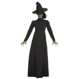 Wicked Witch Costume