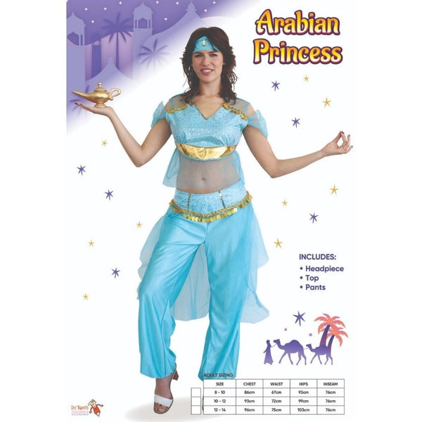 Arabian Princess Womens Costume