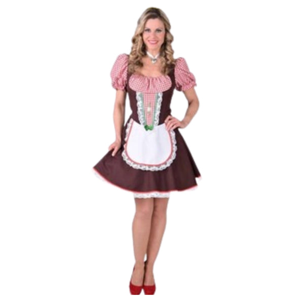 Beer Festival Dirndl, red check sleeves and bodice, brown skirt with attached apron trimmed in lace.