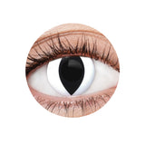 EyeFX White Cat Contact Lenses & Case