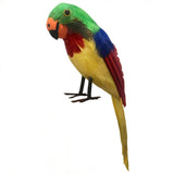 Feathered Pirate Parrot standing 42cm tall.