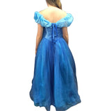 Princess Ball Gown Costume - Hire