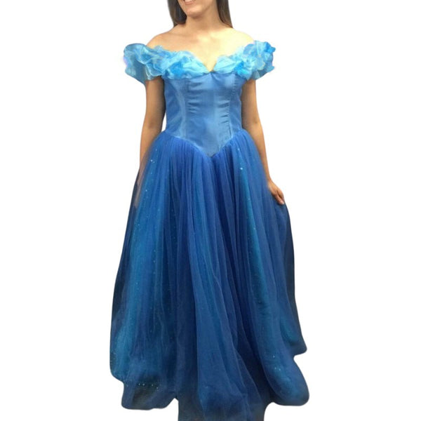 Princess Ball Gown Costume - Hire