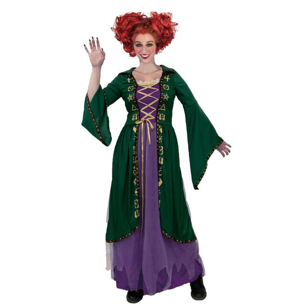 Put a spell on you witch costume for adults in green and purple with lacing at bodice and mystical symbols down the front.