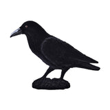 Black flocked Raven measures 18 X 30cm.