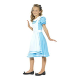 Wonder Princess girls costume, dress with attached apron and headband.